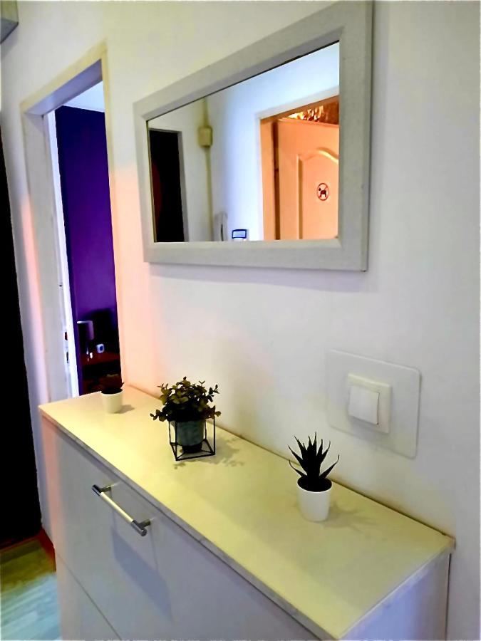 Apartman Danube Novi Sad Exterior foto