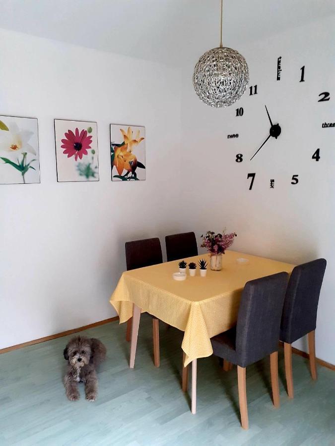 Apartman Danube Novi Sad Exterior foto